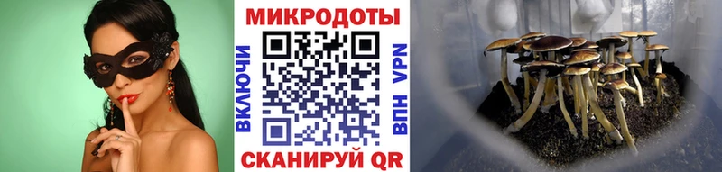 где купить   Мичуринск  маркетплейс какой сайт  Псилоцибиновые грибы Psilocybine cubensis 